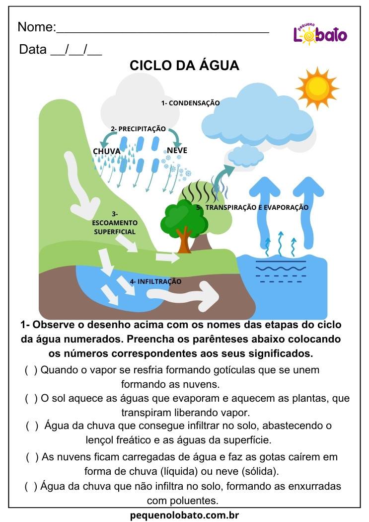 Atividade de Ciências