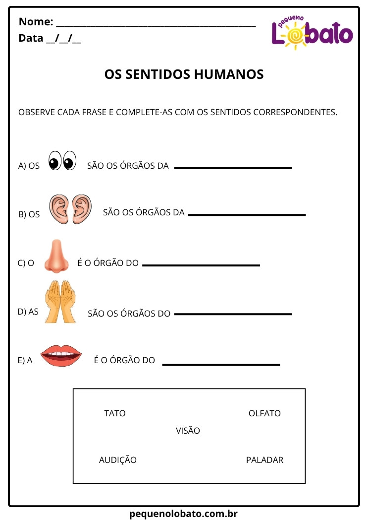 Atividades de Ciências 1º ano identificação dos órgãos dos cinco sentidos humanos