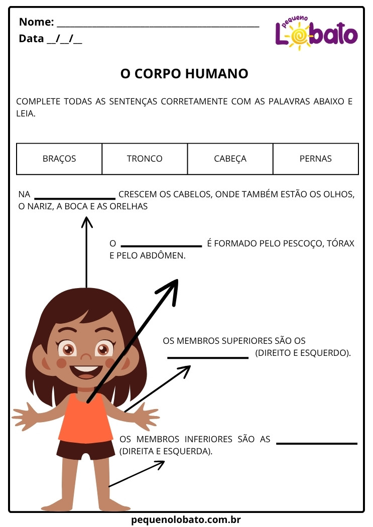 Atividades de Ciências 1 ano Corpo Humano Cabeca Tronco Bracos Pernas