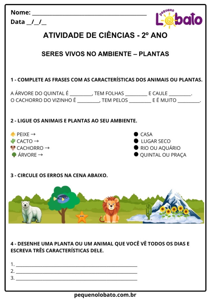 Atividades de Ciências 2º Ano para Imprimir
