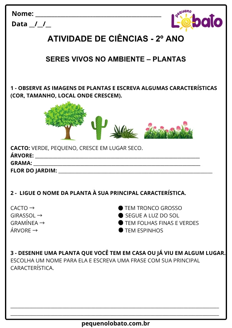 Atividade de Ciências 2º Ano sobre Características das Plantas para Imprimir