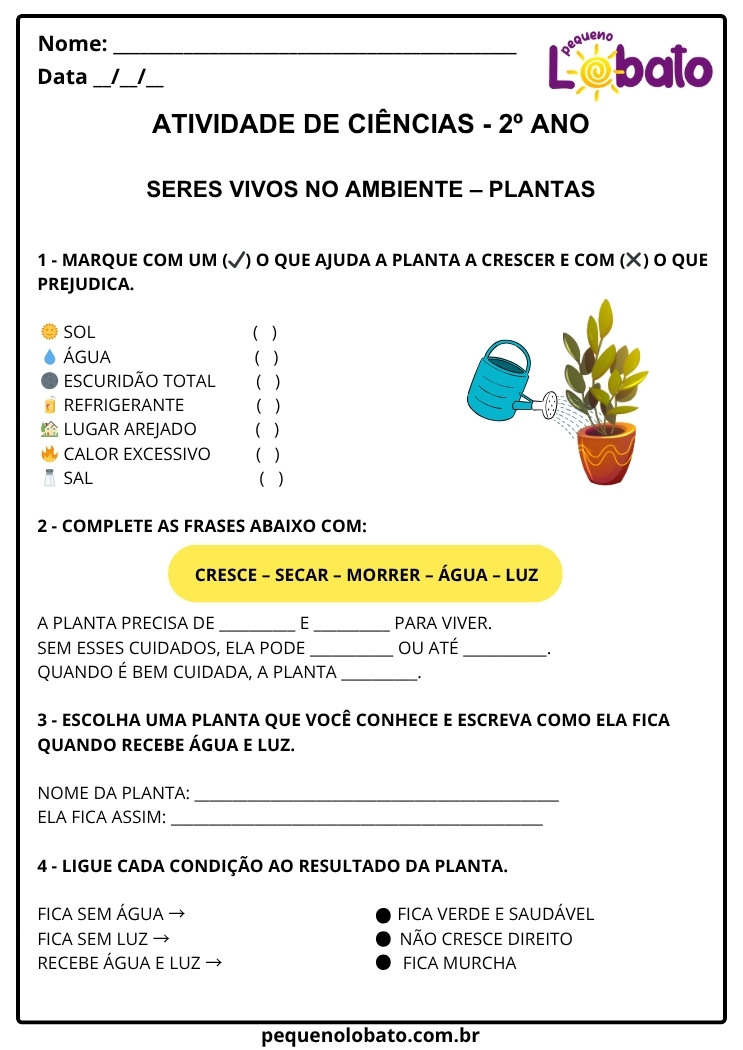Atividade de Ciências 2º Ano sobre Plantas para Imprimir