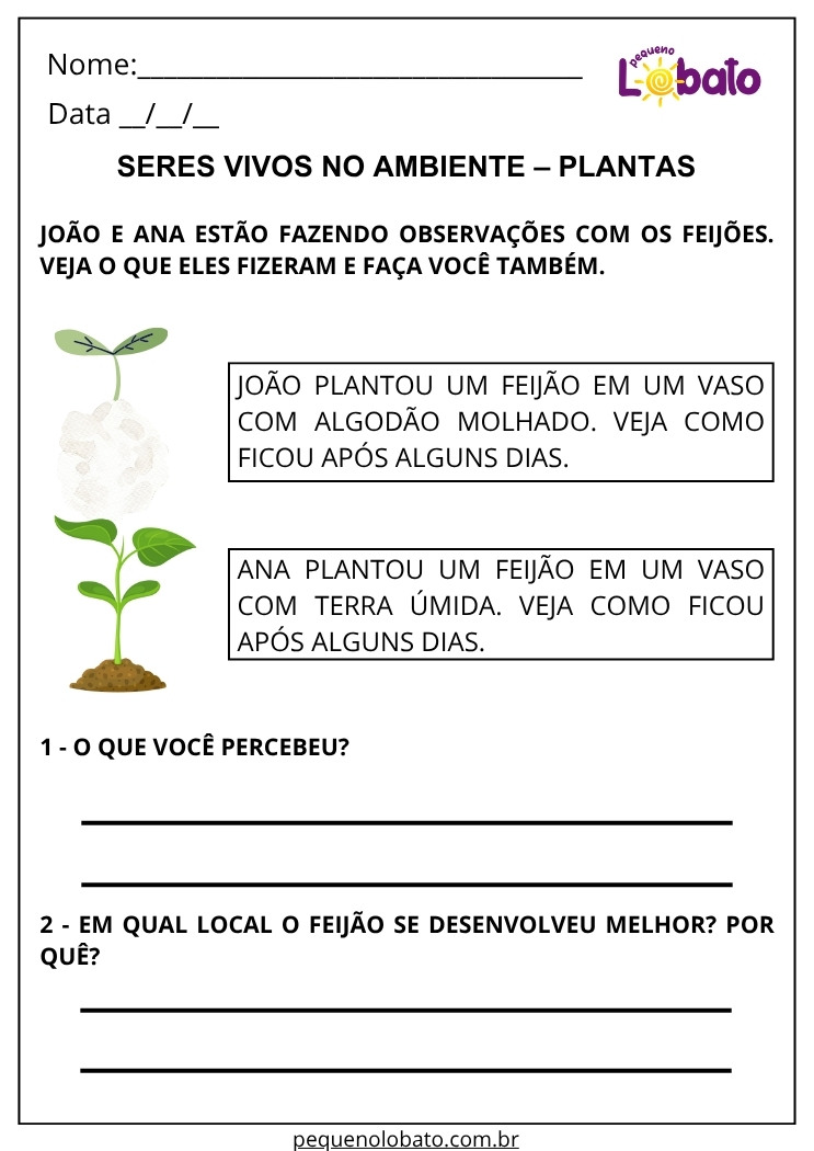 Atividade de Ciências 2º Ano sobre o Crescimento das Plantas para Imprimir