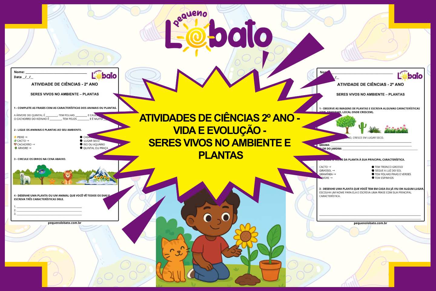 Atividades de Ciências 2º Ano – Seres Vivos no Ambiente e Plantas