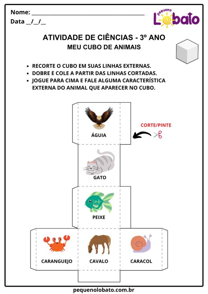 Atividades de Ciências 3º Ano – Características Externas dos Animais