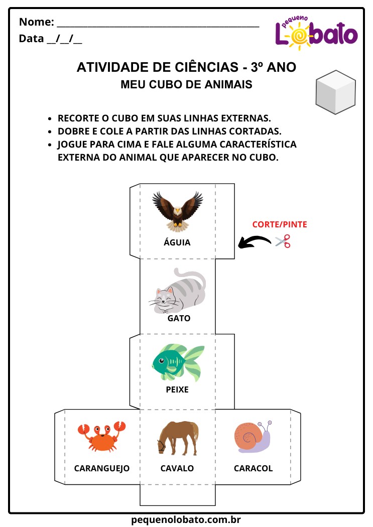 Atividade Lúdica de Ciências 3º Ano sobre Características Externas dos Animais para Imprimir