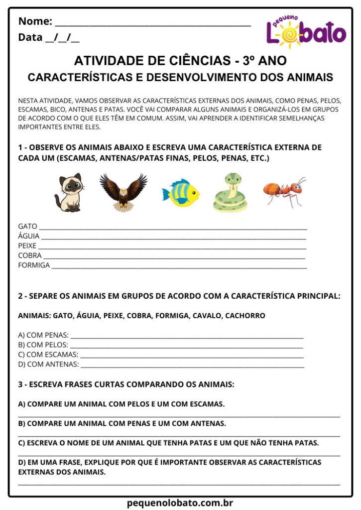 Atividades de Ciências 3º Ano – Características Externas dos Animais