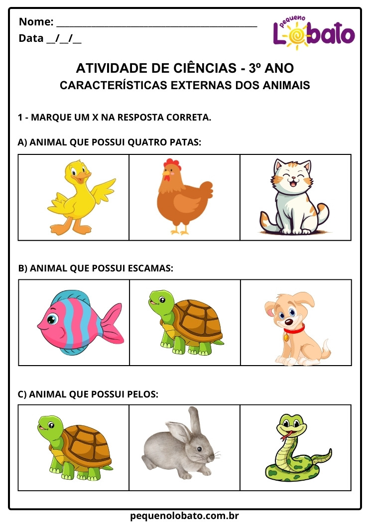 Atividade de Ciências 3º Ano sobre Características Externas dos Animais para Imprimir