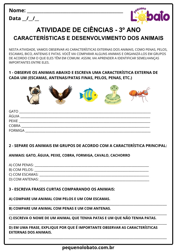 Atividade de Ciências 3º Ano sobre as Características Externas dos Animais para Imprimir