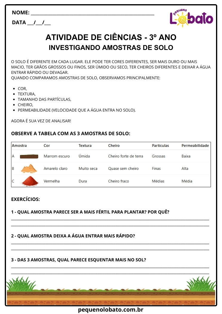 Atividade de Ciências 3º Ano sobre as Características do Solo para Imprimir