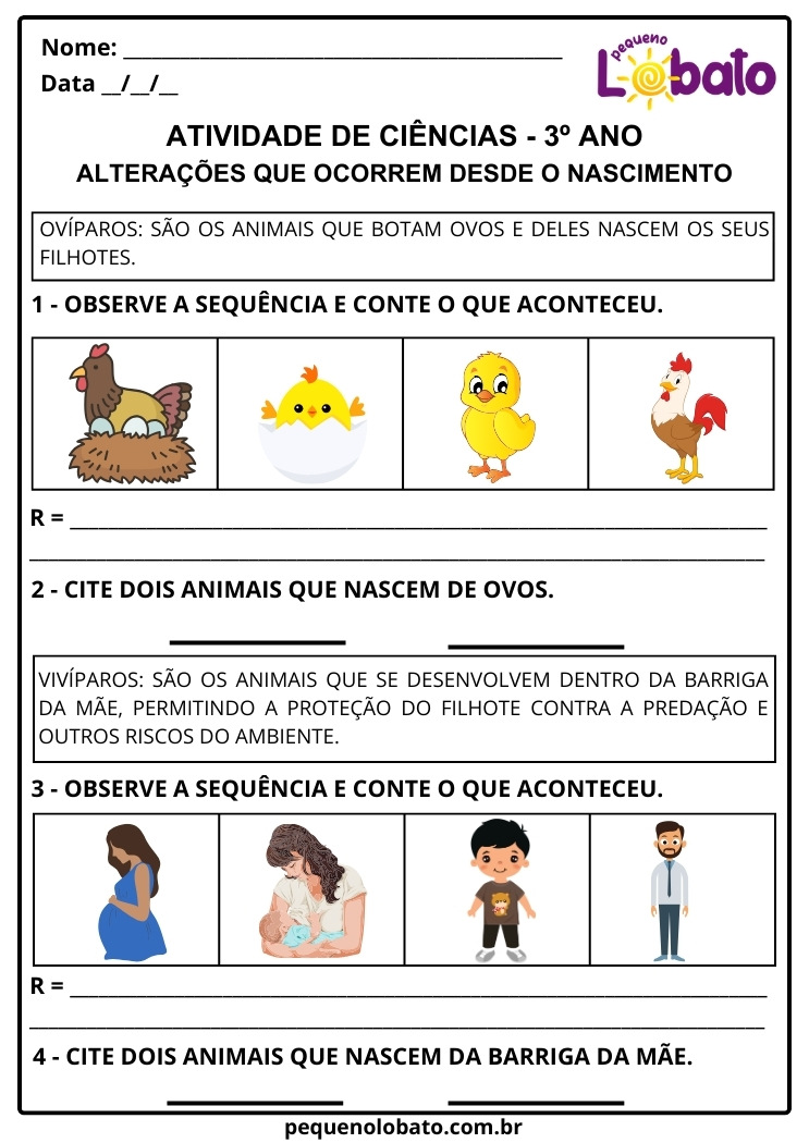 Atividade de Ciências 3º Ano sobre o Desenvolvimento dos Animais para Imprimir