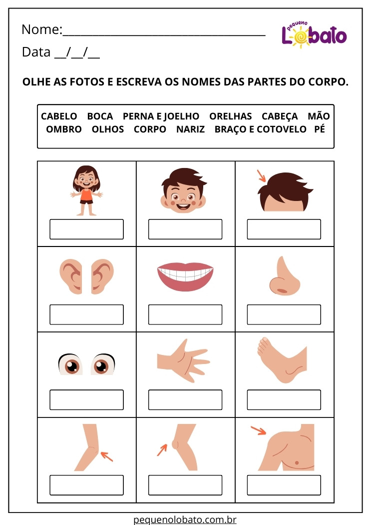 Atividade para Alunos com Autismo para Imprimir sobre Partes do Corpo Humano