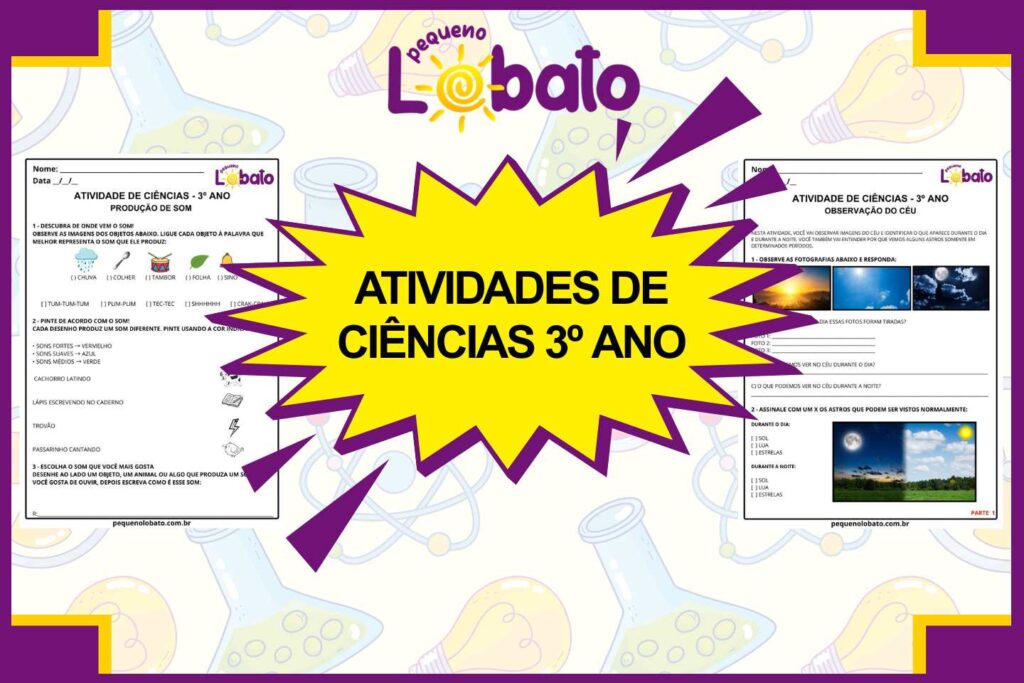 Atividades de Ciências 3º Ano para Imprimir
