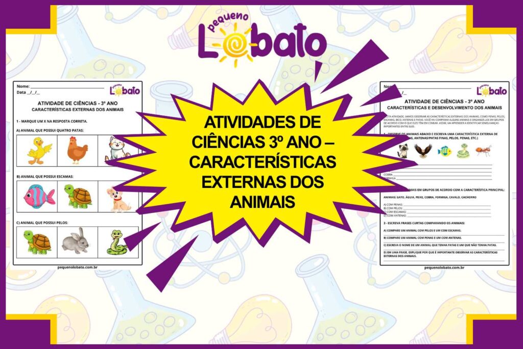 Atividades de Ciências 3º Ano – Características Externas dos Animais