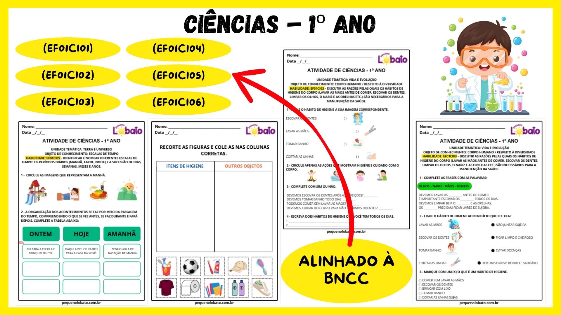 Atividades de Ciências 1º Ano do Ensino Fundamental segundo à BNCC ...