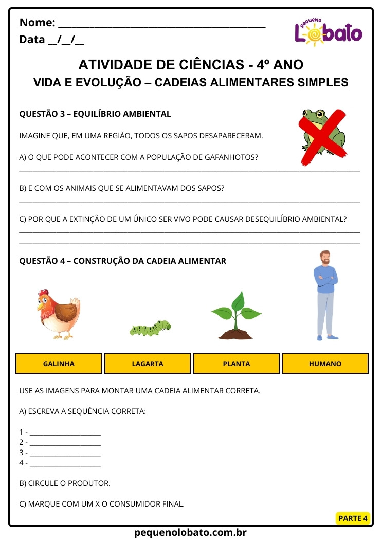 Atividade de Ciências 4º Ano com Construção da Cadeia Alimentar e Equilíbrio Ambiental
