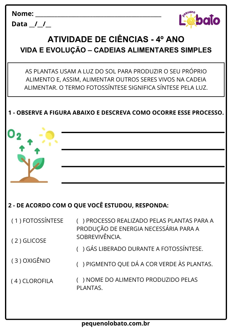 Atividade de Ciências 4º Ano sobre Cadeias Alimentares Simples com Fotossíntese, Papel do Sol e das Plantas