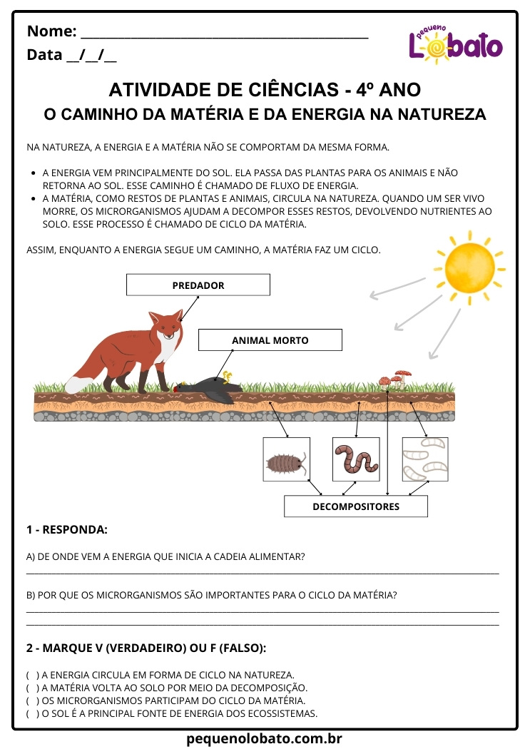 Atividade de Ciências 4º Ano sobre Ciclo da Matéria e Fluxo de Energia Papel do Sol, Plantas, Animais, Microrganismos, Decompositores