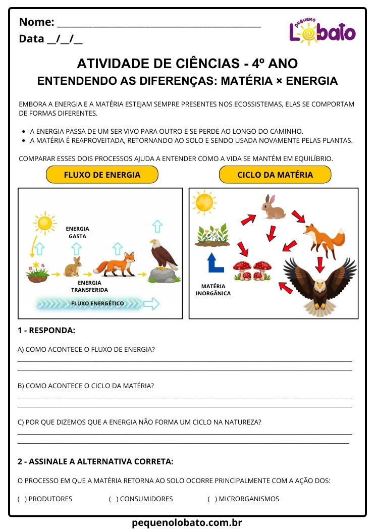 Atividade de Ciências 4º Ano sobre Ciclo da Matéria e Fluxo de Energia