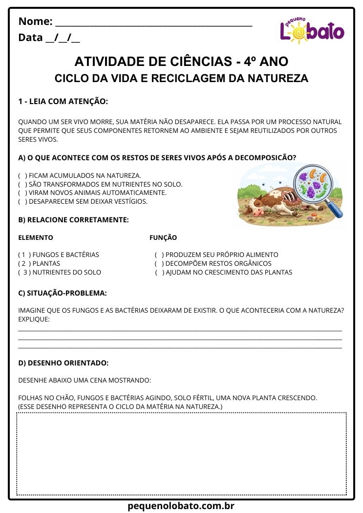 Atividade de Ciências 4º Ano sobre Decomposição, Ciclo da Vida e Reciclagem da Natureza