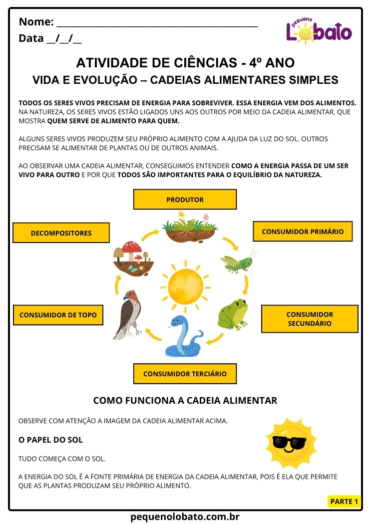 Atividade de Ciências 4º Ano sobre Funcionamento da Cadeia Alimentar e o Papel do Sol