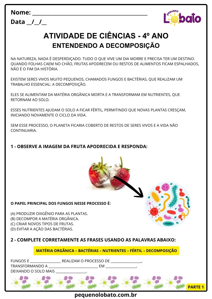 Atividade de Ciências 4º Ano sobre Fungos e Bactérias no Processo de Decomposição com Fruta Podre