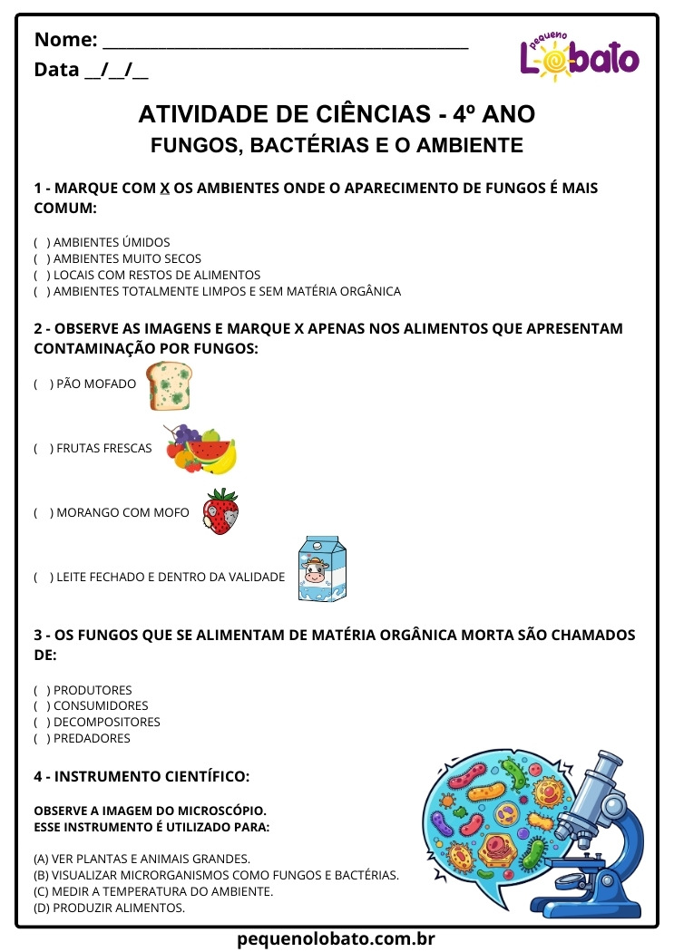 Atividade de Ciências 4º Ano sobre Fungos no Processo de Decomposição com Exemplos de Alimentos Contaminados