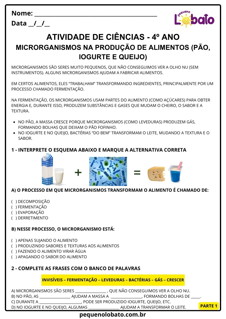 Atividade de Ciências 4º Ano sobre Microrganismos na Produção de Alimentos