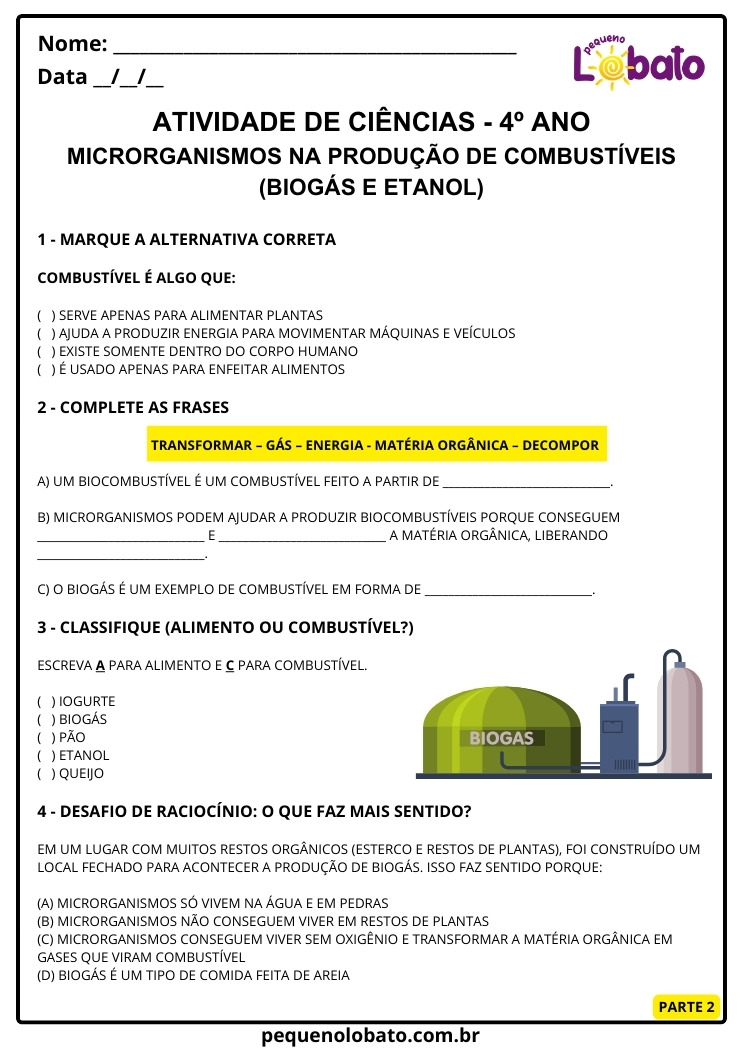 Atividade de Ciências 4º Ano sobre Microrganismos na Produção de Combustíveis