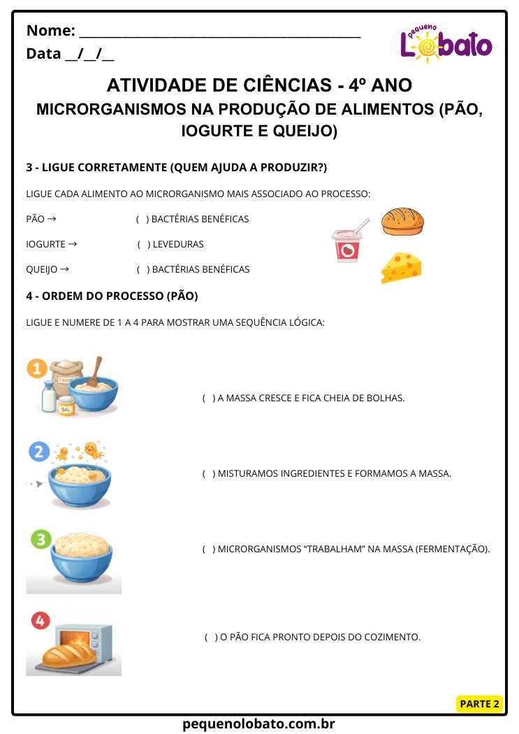 Atividades de Ciências 4º Ano sobre Microrganismos na Produção de Alimentos com Bactérias Benéficas, Leveduras, Processo do Pão