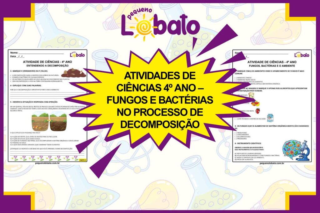 Atividades de Ciências 4º Ano – Fungos e Bactérias no Processo de Decomposição