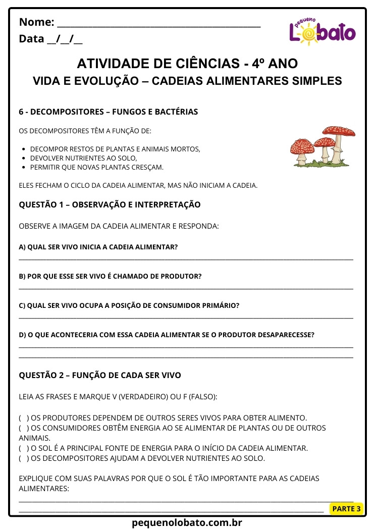 Folha de Atividade de Ciências 4º Ano sobre Cadeias Alimentares Simples Papel dos Decompositores