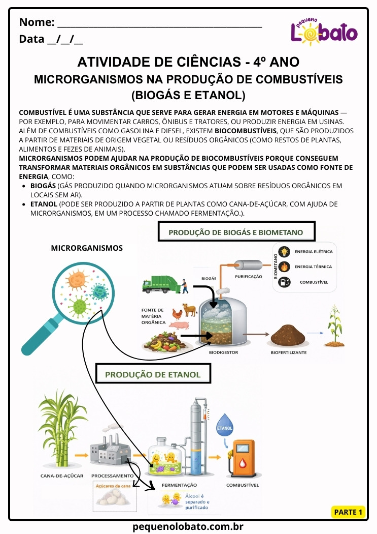 Recurso Pedagógico de Ciências 4º Ano sobre Microrganismos na Produção de Combustíveis