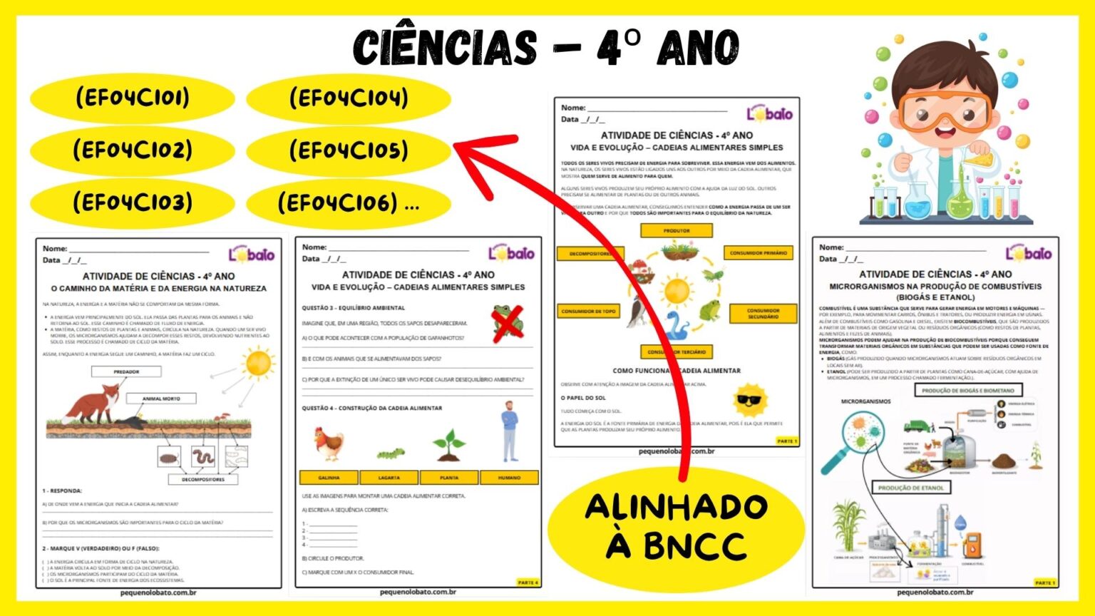 Atividades de Ciências 4º Ano do Ensino Fundamental alinhadas à BNCC ...