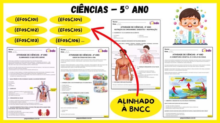 Atividades de Ciências 5º Ano do Ensino Fundamental alinhadas à BNCC ...