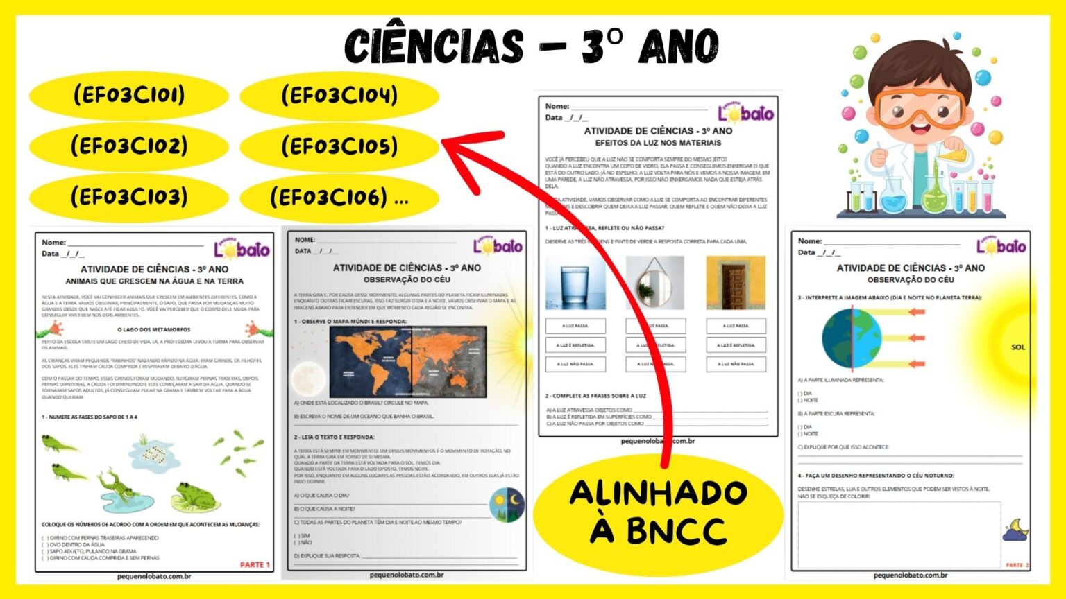 Atividades de Ciências 3º Ano do Ensino Fundamental alinhadas à BNCC ...