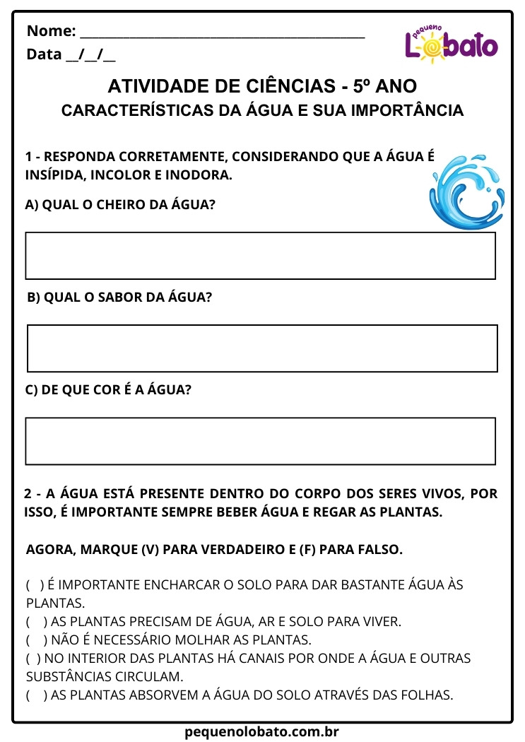 Atividade de Ciências 5º Ano sobre Características da Água e sua Importância