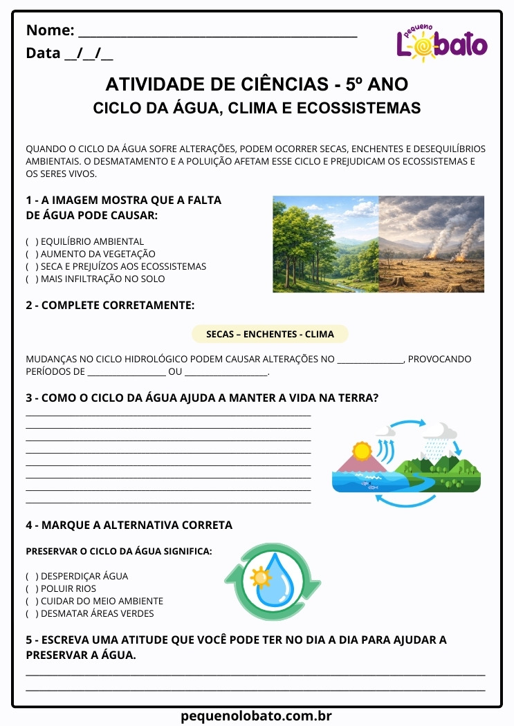 Atividade de Ciências 5º Ano sobre Ciclo da Água, Clima e Ecossistemas segundo a BNCC