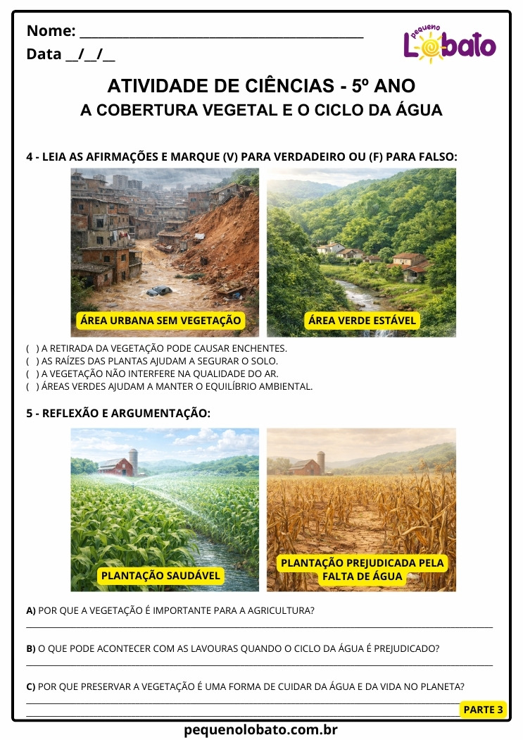 Atividade de Ciências 5º Ano Cobertura Vegetal - Área Urbana sem Vegetação x Área Verde e Plantação Saudável x Prejudicada pela Falta de Água