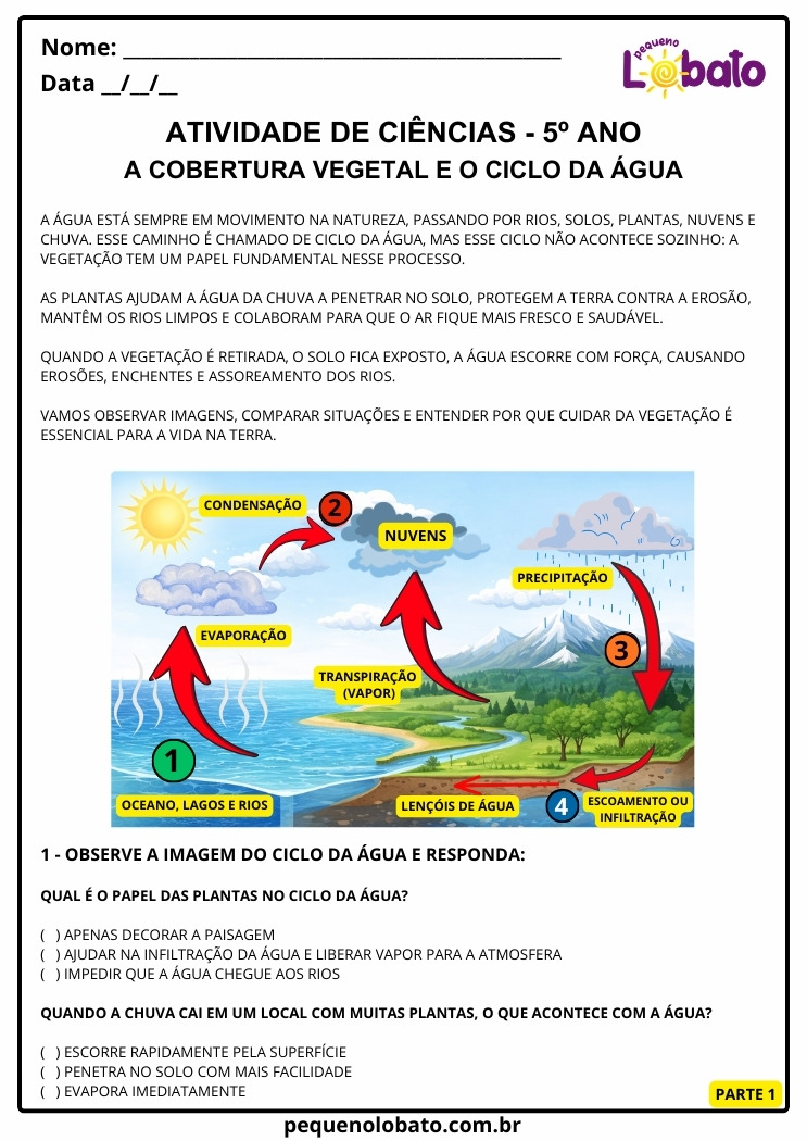 Atividade de Ciências 5º Ano sobre a Importância da Cobertura Vegetal e o Ciclo da Água