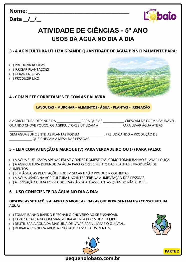Atividade de Ciências 5º Ano sobre o Consumo Consciente da Água Usos no Cotidiano segundo a BNCC