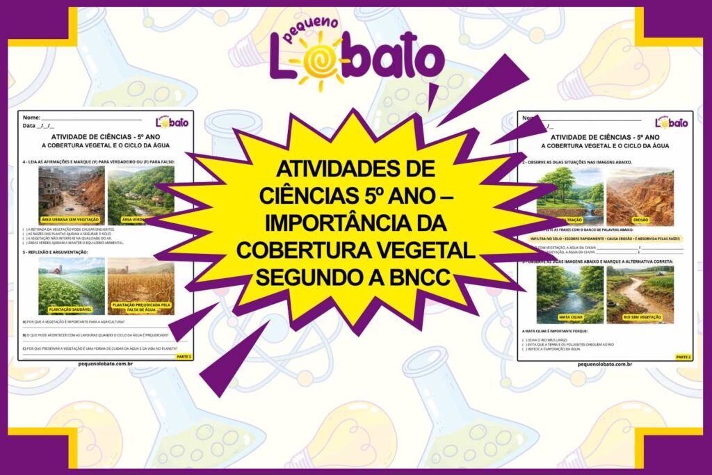 Atividades de Ciências 5º Ano – Importância da Cobertura Vegetal segundo a BNCC