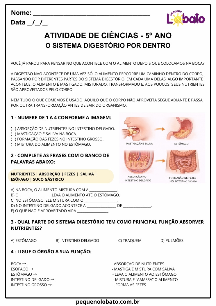 Atividade de Ciências 5º Ano sobre Nutrição do Organismo e o Sistema Digestório