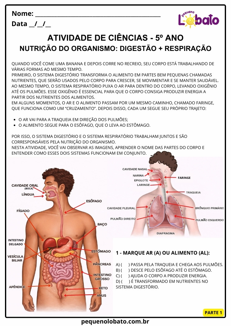 Atividade de Ciências 5º Ano sobre a Nutrição do Organismo por Integração dos Sistemas Digestório e Respiratório parte 1