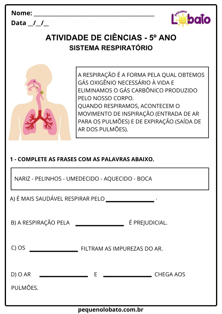 Atividade de Ciências 5º Ano sobre o Sistema Respiratório para Imprimir