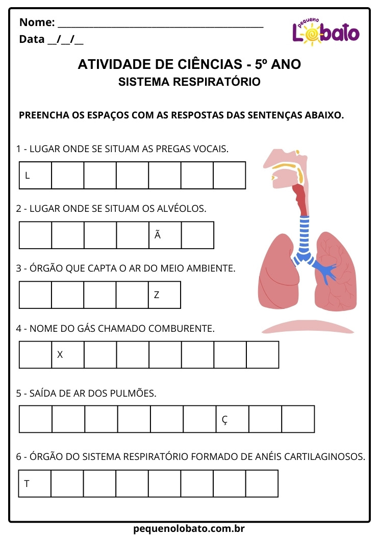 Atividade de Ciências 5º Ano sobre o Sistema Respiratório