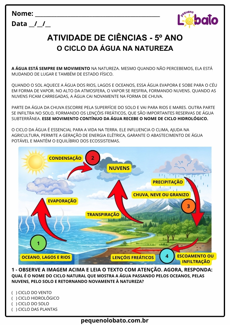 Atividade de Ciências 5º Ano – Ciclo Hidrológico segundo a BNCC