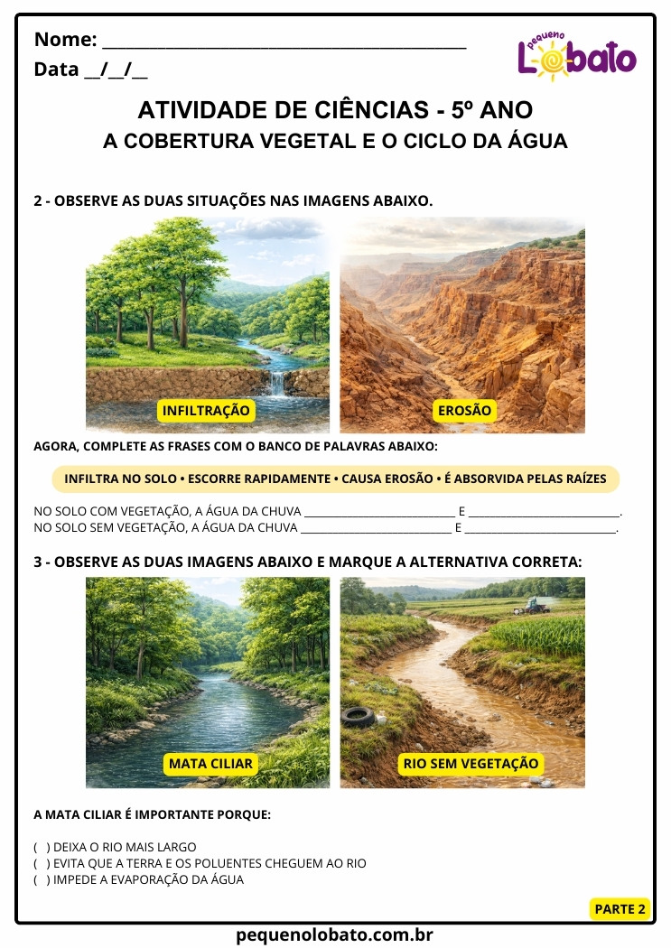 Atividade de Ciências 5º Ano – Importância da Cobertura Vegetal segundo a BNCC