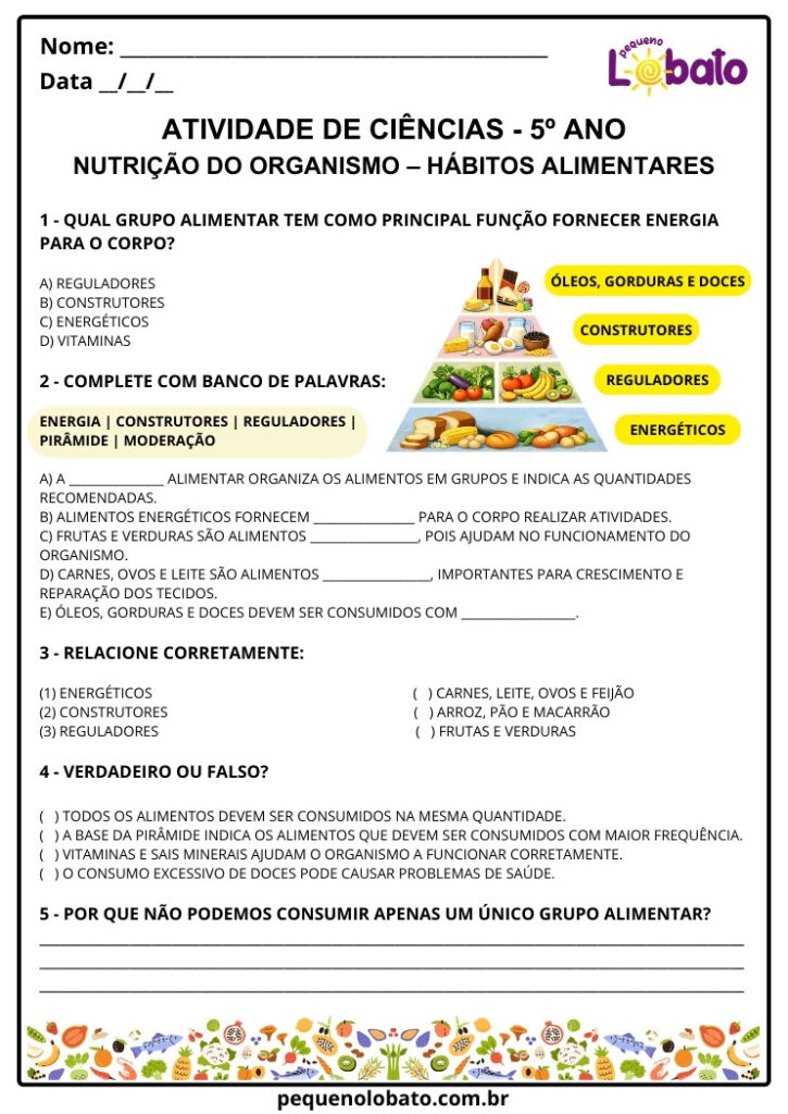Atividades de Ciências 5º Ano segundo a BNCC para Imprimir