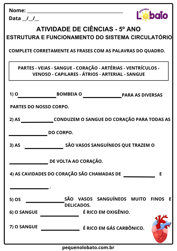 Atividade de Ciências 5º ano Estrutura e Funcionamento do Sistema Circulatório